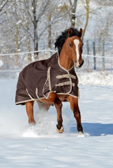 coperta per cavalli invernale, imbottita, impermeabile